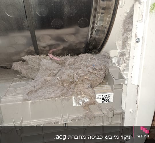 תוף מכונת כביסה עם הצטברות אבק ולכלוך